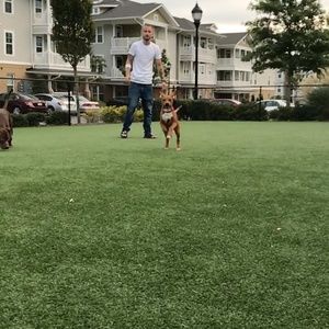 Meet your Posher, Margaret