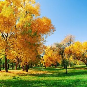 Meet your Posher, Peggy