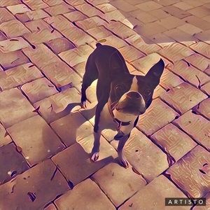 Meet your Posher, June