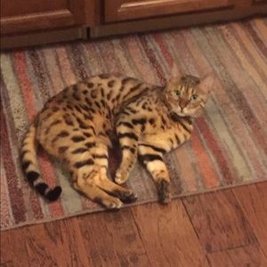 Meet your Posher, Melanie