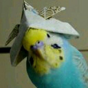 Meet your Posher, Nadia