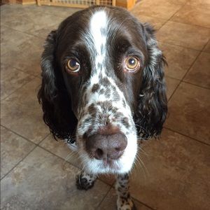 Meet your Posher, Kyle