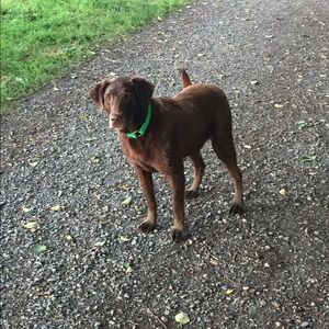 Meet your Posher, Katie