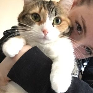 Meet your Posher, Julia