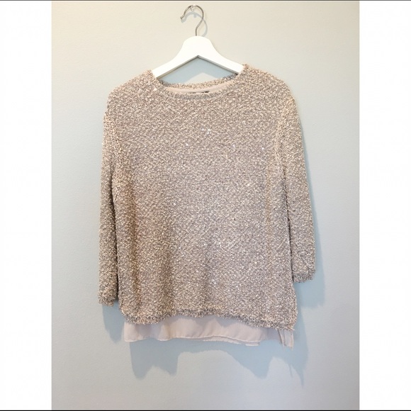 Zara Sequin Sweater with Sheer Panels