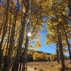 Meet your Posher, Kara