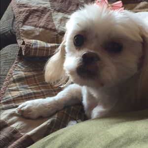 Meet your Posher, Donna