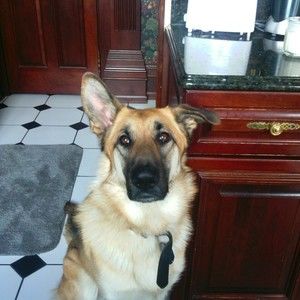 Meet your Posher, Ellamae