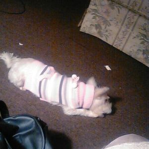 Meet your Posher, Lisa