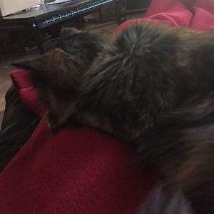 Meet your Posher, Hazelyn