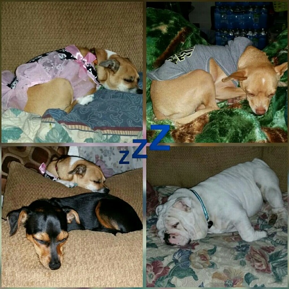 Meet your Posh Ambassador, Tatiana - Picture 4 of 9