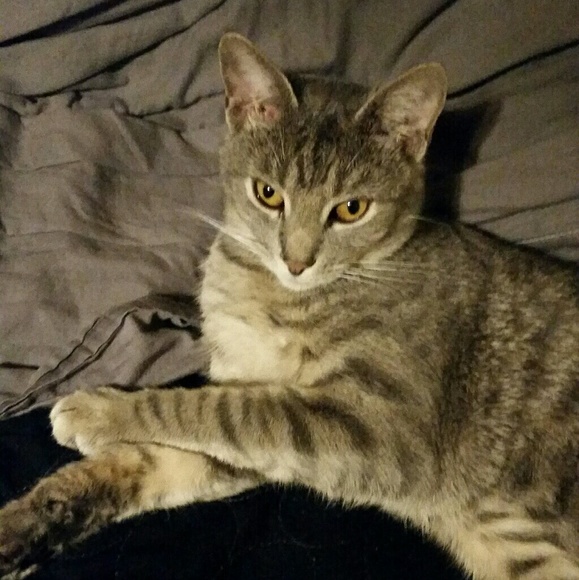 Meet your Posh Ambassador, Tatiana - Picture 5 of 9