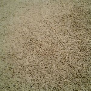 Meet your Posher, Kirk