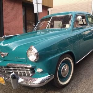 Meet your Posher, Willa