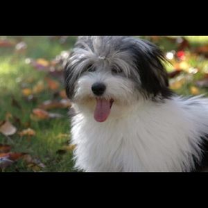 Meet your Posher, Gina