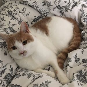 Meet your Posher, Chris