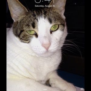 Meet your Posher, Nathan