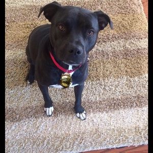 Meet your Posher, Christine