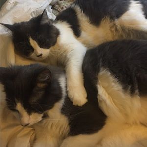 Meet your Posher, Kate