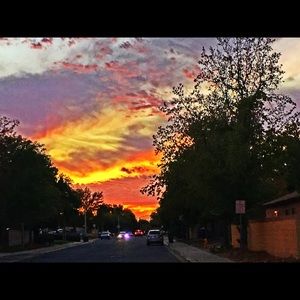 Meet your Posher, Rayshawn