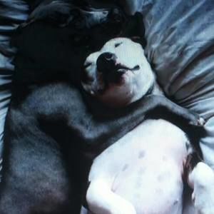 Meet your Posher, Kristen