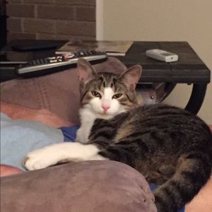 Meet your Posher, Debra