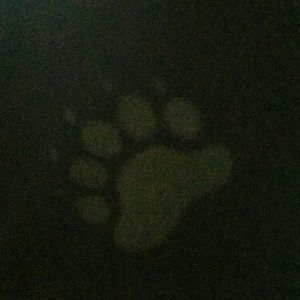 Meet your Posher, Sean