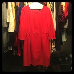 Burnt Orange Knit dress