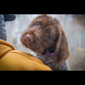 Meet your Posher, Nick