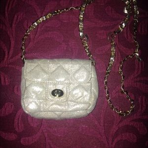 Small Crossbody on a chain!