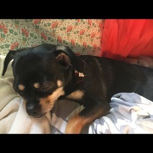 Meet your Posher, Kia