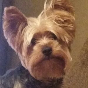 Meet your Posher, Kacey