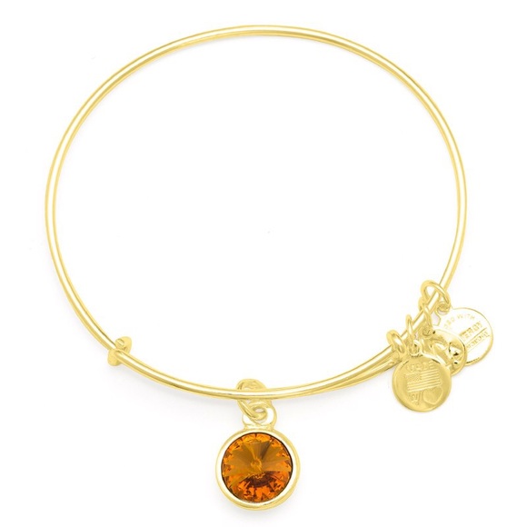 Alex & Ani Birth Month Charm Bangle