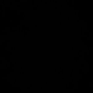 Meet your Posher, Dion