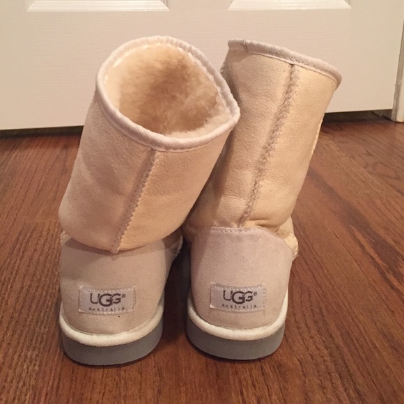 Cream colored Uggs