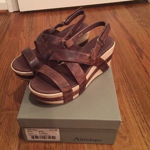 Coffee colored Antelopes