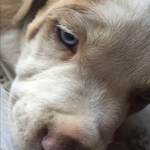 Meet your Posher, Luz