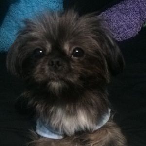 Meet your Posher, Luis