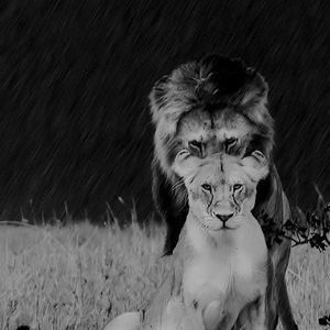 Meet your Posher, Keren