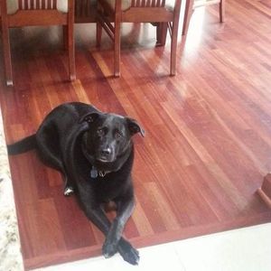 Meet your Posher, Kate