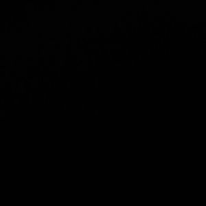 Meet your Posher, Whitney