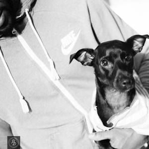 Meet your Posher, Jericho