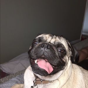 Meet your Posher, Andy