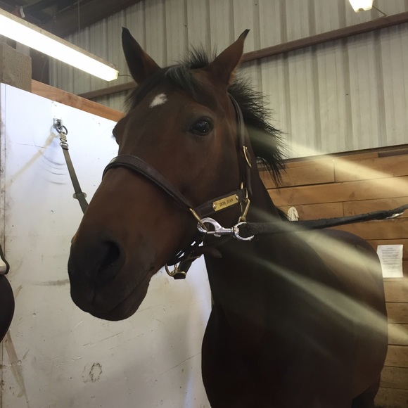 Meet your Posher, Danza - Picture 1 of 1