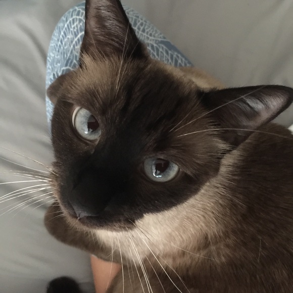 STOP SCROLLING! - Picture 3 of 3