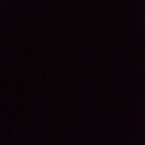 Meet your Posher, Elena