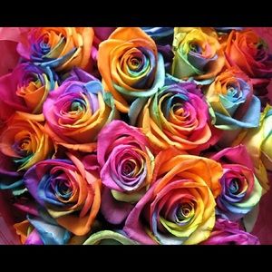 Meet your Posher, Faith