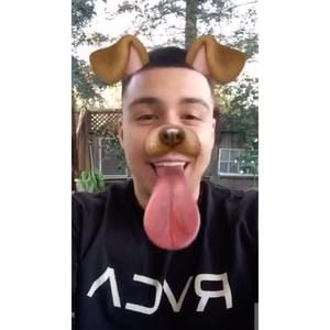 Meet your Posher, Gilbert