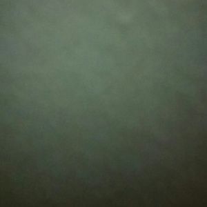 Meet your Posher, Charles