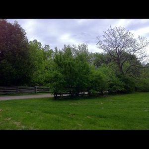 Meet your Posher, Elisa